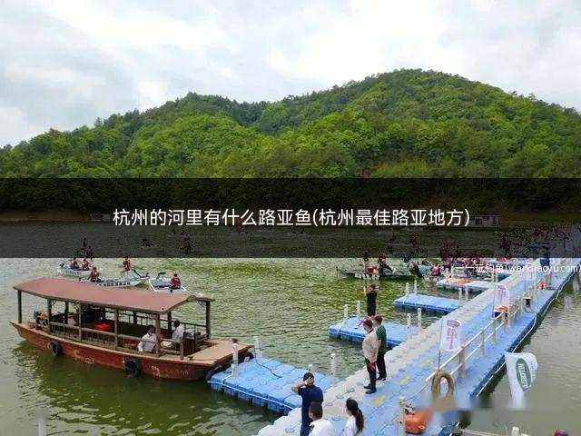 杭州的河里有什么路亚鱼(杭州最佳路亚地方)