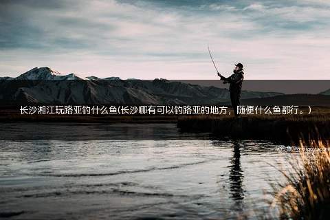 长沙湘江玩路亚钓什么鱼(长沙哪有可以钓路亚的地方，随便什么鱼都行。)