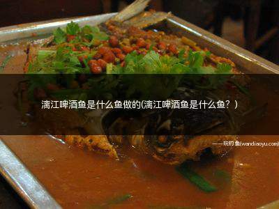 漓江啤酒鱼是什么鱼做的(漓江啤酒鱼是什么鱼？)