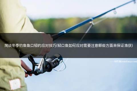 简谈冬季钓鱼鱼口轻的应对技巧(轻口鱼如何应对需要注意哪些方面来保证渔获)