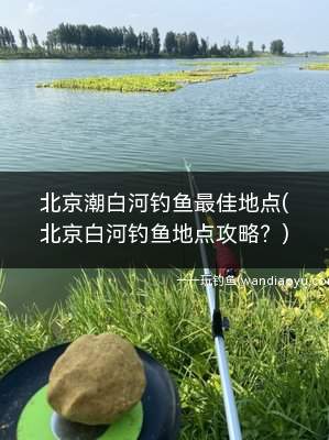 北京潮白河钓鱼最佳地点(北京白河钓鱼地点攻略？)