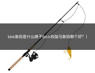 bbk鱼钩是什么牌子(bbk和伽马鱼钩哪个好？)