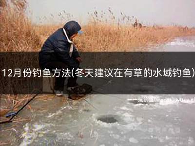 12月份钓鱼方法(冬天建议在有草的水域钓鱼)
