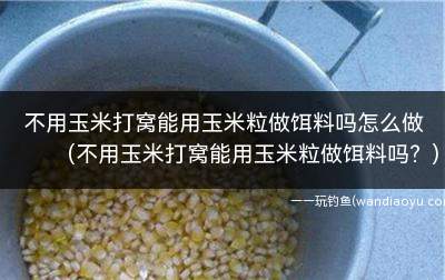 不用玉米打窝能用玉米粒做饵料吗怎么做(不用玉米打窝能用玉米粒做饵料吗？)