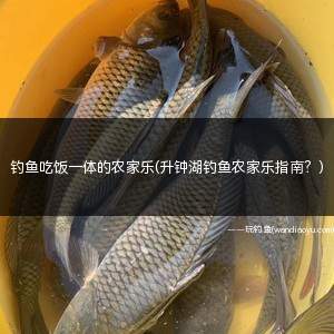 钓鱼吃饭一体的农家乐(升钟湖钓鱼农家乐指南？)