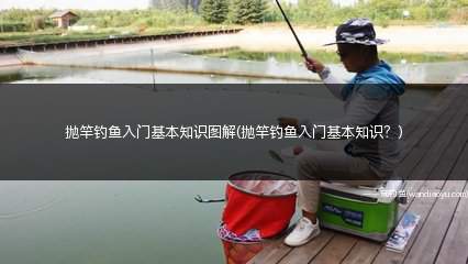 抛竿钓鱼入门基本知识图解(抛竿钓鱼入门基本知识？)