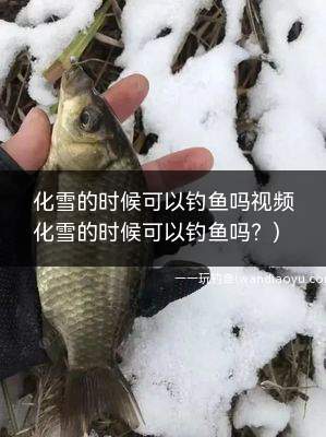 化雪的时候可以钓鱼吗视频(化雪的时候可以钓鱼吗？)