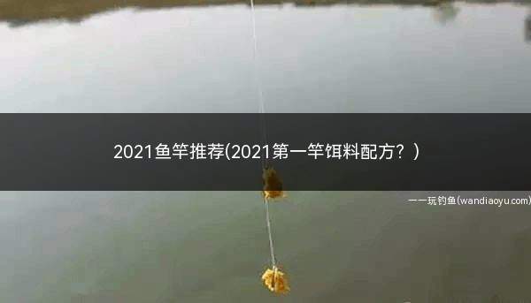 2021鱼竿推荐(2021第一竿饵料配方？)