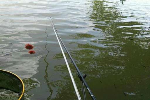 子线长短粗细，对钓鱼有哪些影响？详细解答