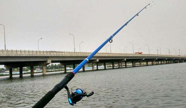 冬天钓蓝刀鱼，要改为钓底，加上这几个路亚技巧