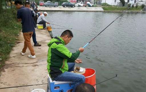 钓鱼常见的几种方式，不花钱钓鱼的年代一去不复返
