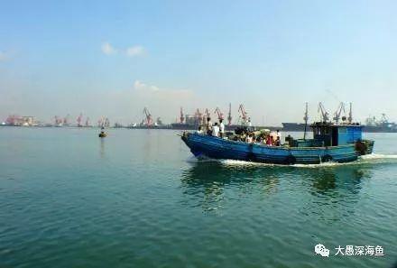近海船钓，在京唐港船钓的一些海钓知识简介