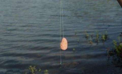 秋季手竿钓鲢鳙，浮漂应该怎么调？