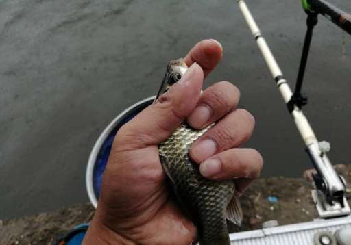 为什么降温后在河边钓鱼渔获很差，解析降温前后钓鱼技巧