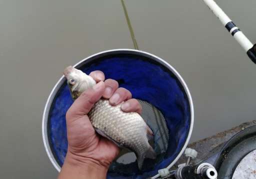 为什么降温后在河边钓鱼渔获很差，解析降温前后钓鱼技巧