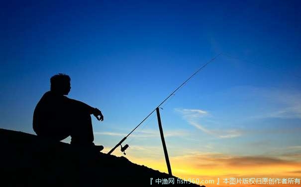 夏季大小鲫鱼的垂钓用饵技巧，助你收获大鱼