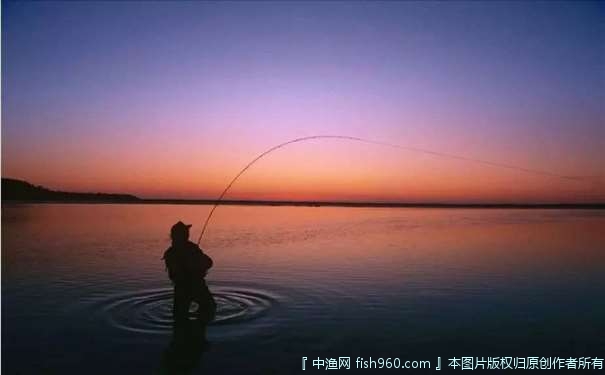夏季水库钓青鱼的4个技巧，很实用