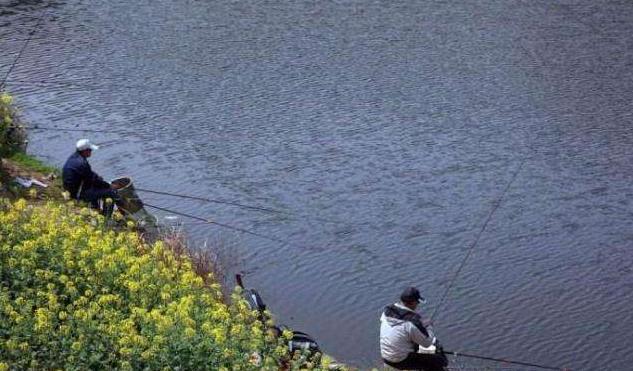 最适合早春钓鱼的3种天气，随便找个钓位鲫鱼连竿上