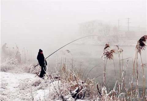 冬季钓鱼，鱼线的选用不容忽视