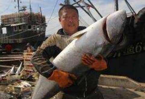 老渔民用米饭做饵料，鲫鱼鲤鱼鳊鱼翘嘴通杀