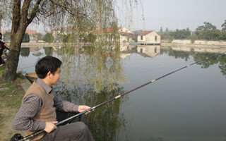 秋季钓鱼的钓竿线组及鱼钩的搭配技巧