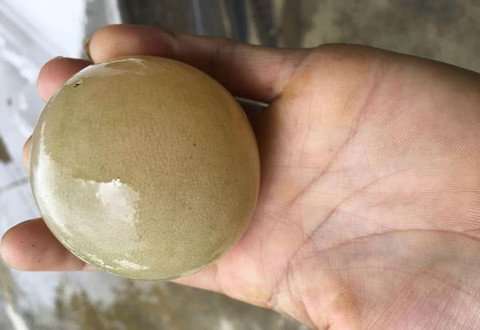 广西老乡农田捕鱼，捡获一枚橙黄巨蛋，网友：鳄龟蛋