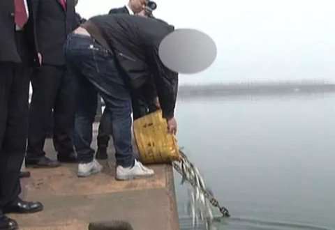 湖北天门两男子汉江电鱼，罚放生6万条鱼并判刑