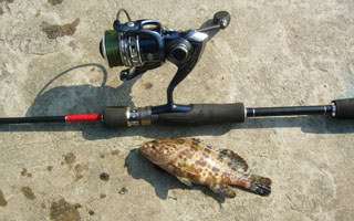 路亚根钓底栖鱼的鱼种特性及钓具的配备