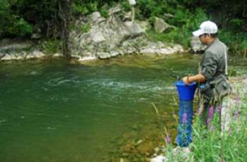 溪流野钓鲫鱼的五种垂钓技法