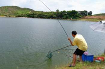 钓鱼空竿的八个因素及应对技巧