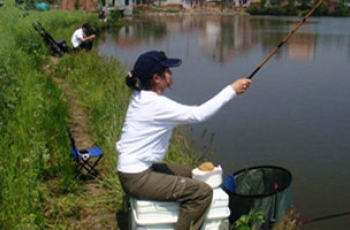 坑塘台钓钓鱼的五个原则和技巧