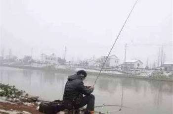 冬天钓鱼记得要调整饵料、子线和浮漂