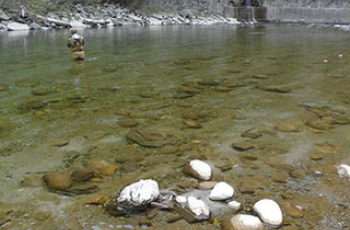 春季在溪流中钓鱼的一些特点和好方法