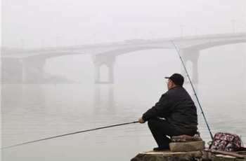 初冬钓鱼技巧，大雾、口轻、钓深浅问题解析