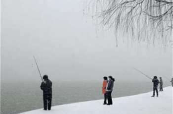 冬天钓鲫鱼方法4条，学会了上鱼不难
