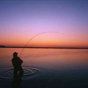 夏季水库钓青鱼的4个技巧，很实用