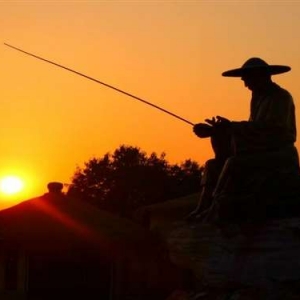夏季早、中、晚时间段钓草鱼的技巧，助你收获大鱼